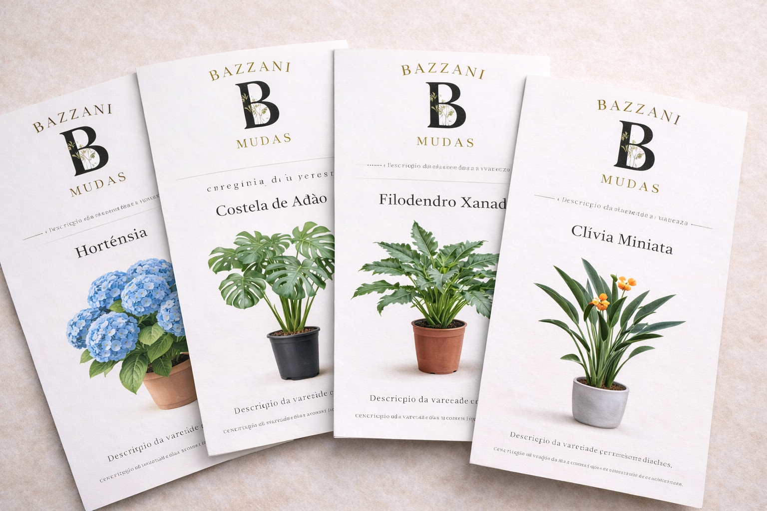 Mockup de manual técnico Bazzani